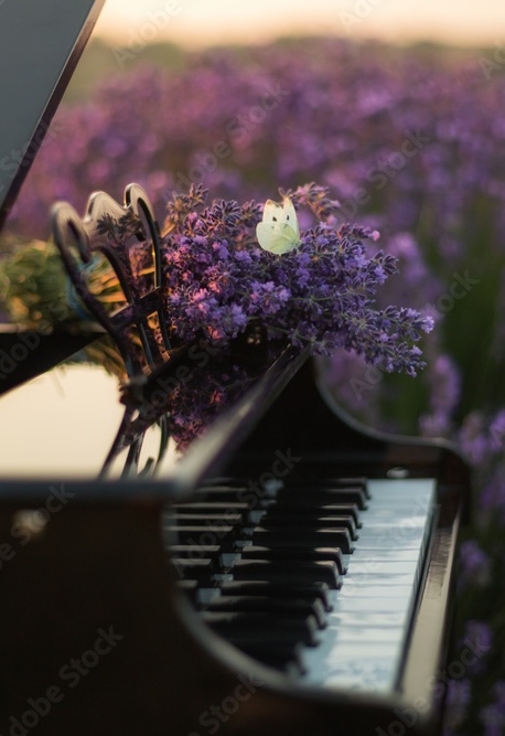 1000_F_273928192_M4NWXgpoePW0iqKJ3L2fxDVlyNUqhiLu